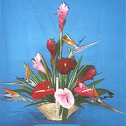 Small Tropical Mix