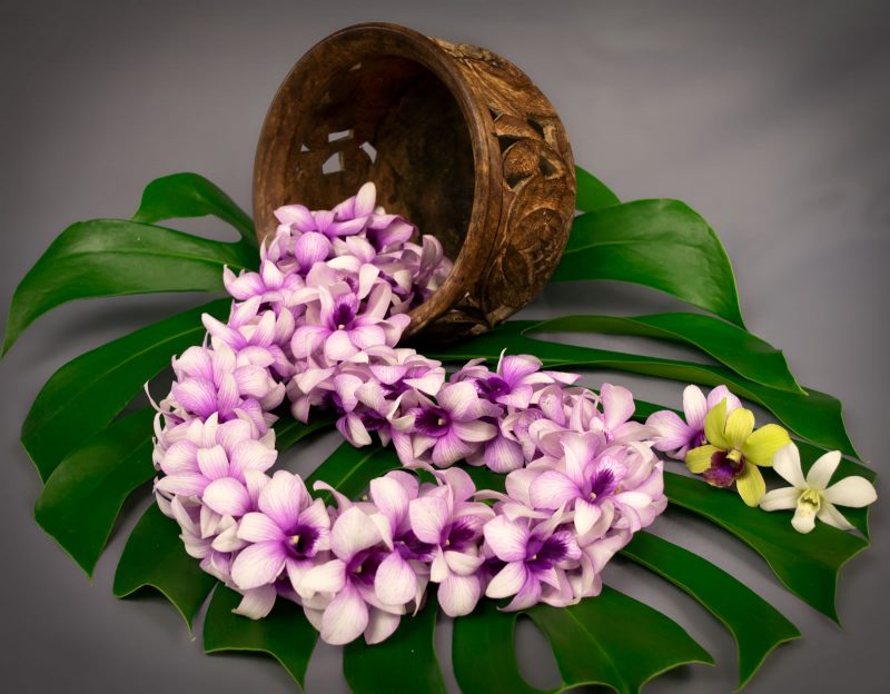 Double Dendrobium Lei