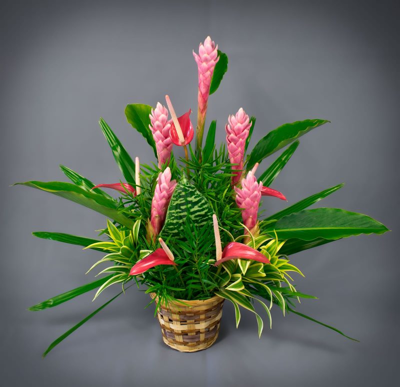 Na Pua Nani (Beautiful Flowers)
