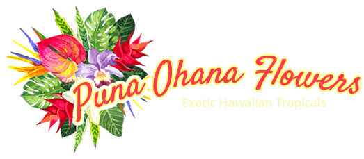 Puna Ohana Tropical Flowers & Leis