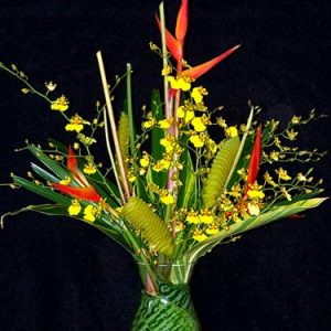 Tropical Spring