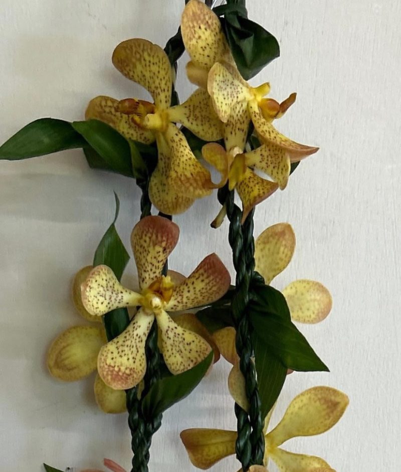 Double Ti Mokara Lei