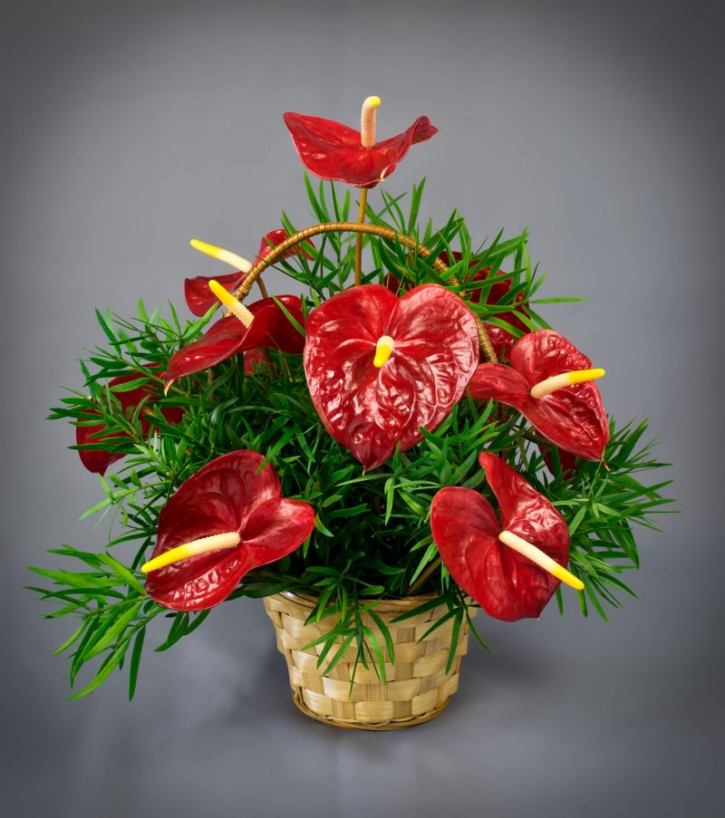 Christmas Bouquet