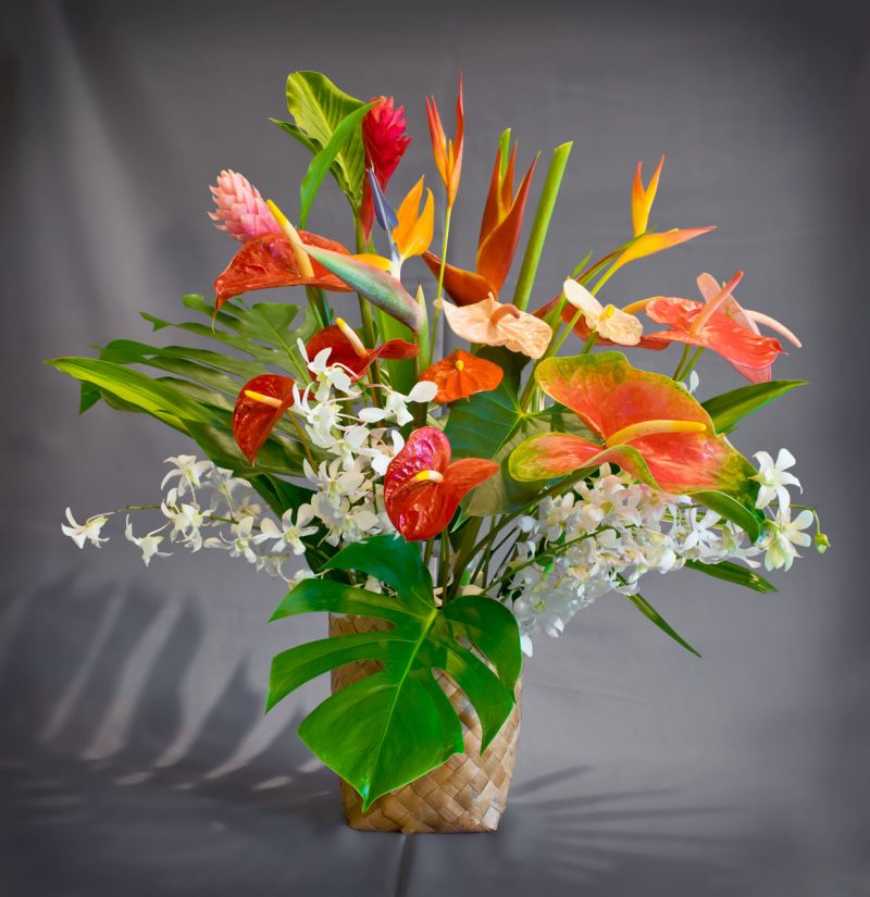 Large Tropical Mix