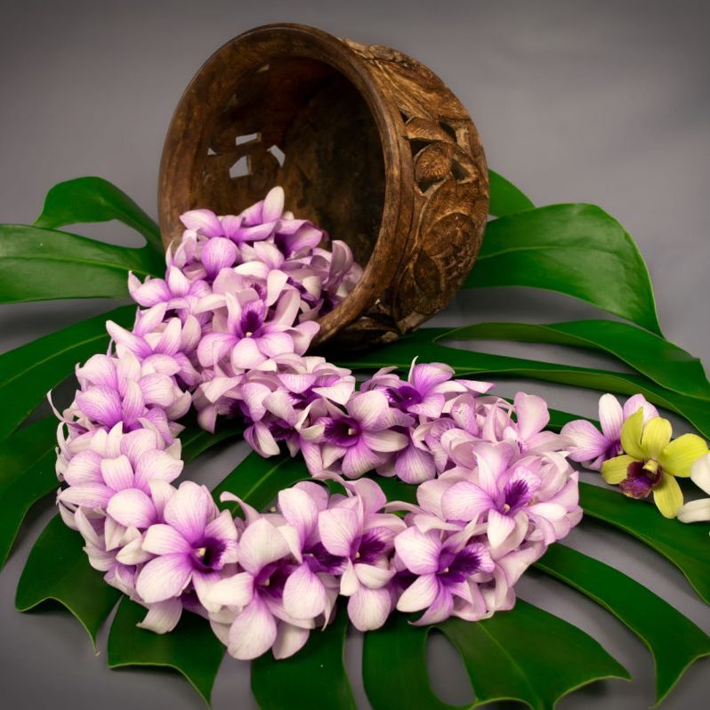 Dendrobium Lei Double 0128- web