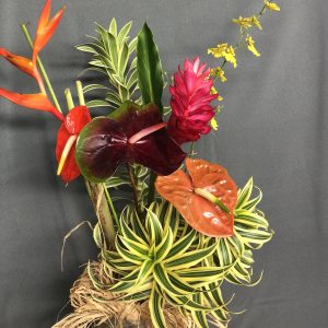 Pomai flower assortment